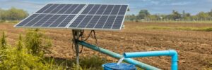 Solar Water Pump System in India A Game Changer for Rural Water Needs Jakson Solar