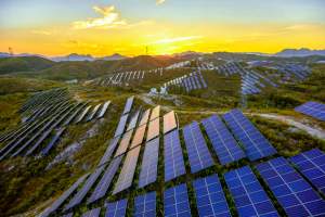 India Champions Solar Energy Calls for Global Action on Energy Security for SIDS at CoP30