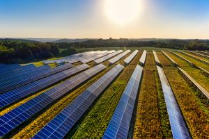 Indias solar push risks slowing without storage PPAs and performance metrics House panel