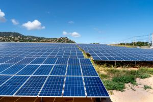 FY25 India Set To Create New Record In Solar Installations