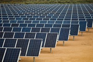 Over 14k homes in Bihar install rooftop solar panels MNRE official