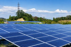 Indias Solar Module Boom Faces Cell Shortage Imports Soar