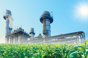 Jakson Green Signs 465 Million Green Ammonia Supply Agreement with SECI Under National Green Hydrogen Mission