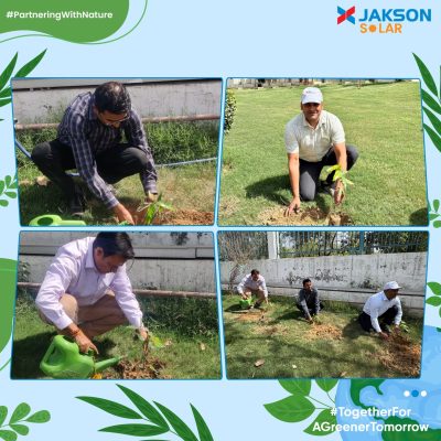 Go Solar with Jakson Rooftop & Commercial Solutions